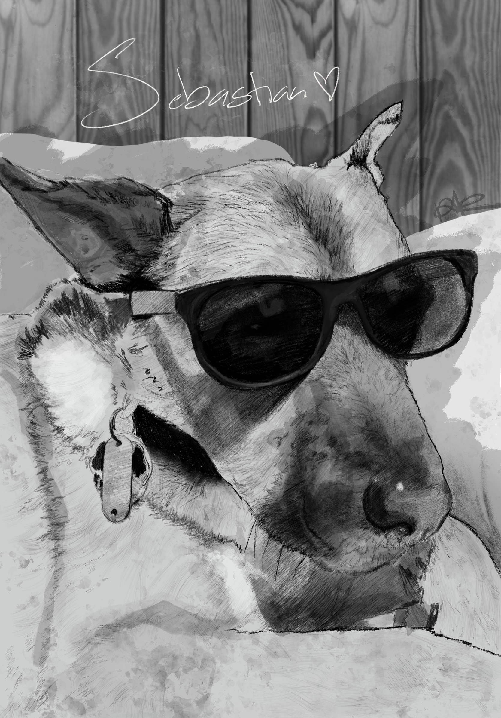 Sebastian - Pet Portrait